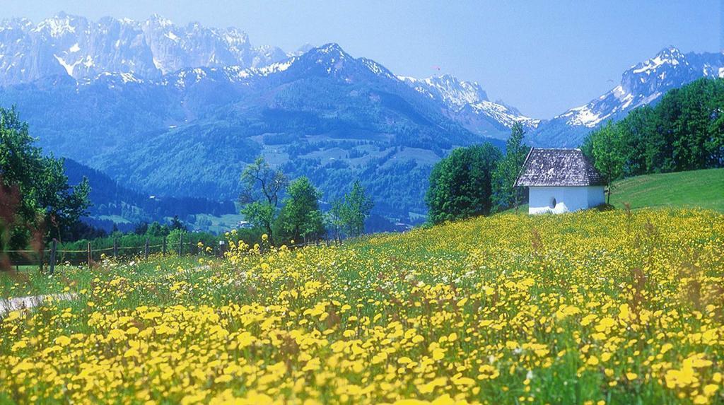 Berg Hotel Weingarten Garni Rimsting Pokój zdjęcie